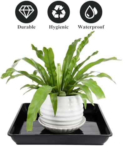 Abaodam 2 Pack Square Plant Saucer 13.77 inch Plant Tray for Potted Plants Plastic Planter Drip Trays for Indoor Outdoor Use Water Catcher to Keep Floors Clean - Image 5