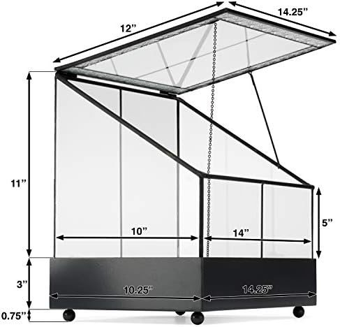 H Potter Terrarium Wardian Case Plant Container Succulent Planter Fairy Garden Display Case WAR153 - Image 7