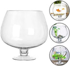POPETPOP Bowl Glass Vase Clear Bubble Bowl Goblet Shaped Plant Terrarium Goldfish Bowl for Home Office Tabletop Decor, 21.00X21.00X21.00CM, Transparent - Image 7