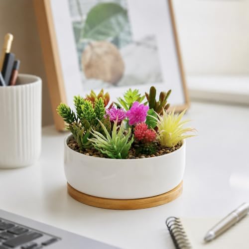 LUOZZY White Ceramic Succulent Planter Pot with Bamboo Tray for Indoor - Image 3