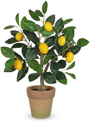 Artificial Potted Plants Small Fake Lemon Tree Artificial Lemon Tree in Pot by Oairse