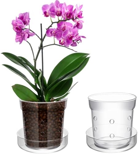 Baderke 1 Pcs Orchid Pot with Drainage Holes and Tray Transparent Glass Pot Planter for Orchids Flower Repotting Anti Slip Glass Plant Vase for Indoor Outdoor Home Decor (6 Inch) by Baderke