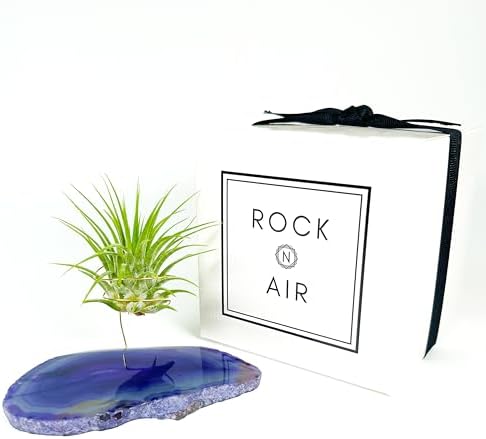 Purple Agate Geode Crystal Air Plant Holder Includes Healthy Air Plant and Rock n Air Gift Box Thoughtful Plant and Crystal Gift for Someone who has Everything - Image 3