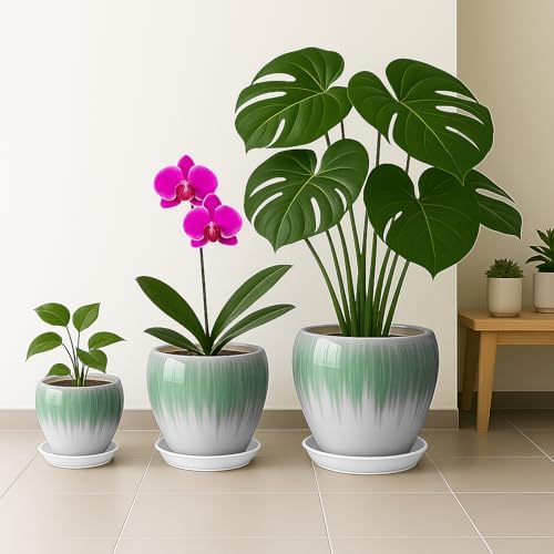 Deep Dream 10 Inch Plant Pot- Ceramic Planter Pot Round Plant Pots for Indoor Plants Outdoor Large Flower Pot with Drainage Holes & Trays, White&Green - Image 5