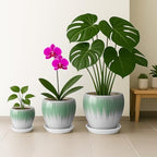 Deep Dream 10 Inch Plant Pot- Ceramic Planter Pot Round Plant Pots for Indoor Plants Outdoor Large Flower Pot with Drainage Holes & Trays, White&Green - Image 5