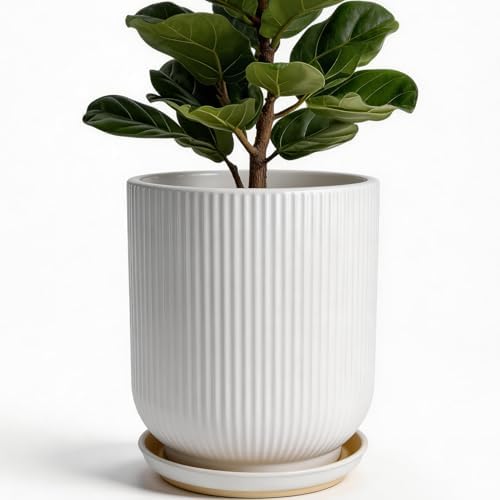 Deep Dream 10 Inch Ceramic Pots for Plants, Heavy Plant Pot for Indoor Outdoor Plants, Large Plant Pot with Drainage Hole and Saucer, Modern Tall Flower Pot, Gifts for Plant Lovers, White by DeepDream
