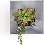 Modern Home Living Wall Galvanized Steel/Zinc Succulent Planter, Wall Mounted Garden Pocket Planter (4 Pocket, Aged Zinc) - Image 5