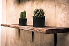 Olly & Rose Designer Geometric Ceramic Black Plant Pot Succulent Pots Cactus Planters Set 2 Indoor Outdoor Small Flower Pot Set Charcoal - Image 2