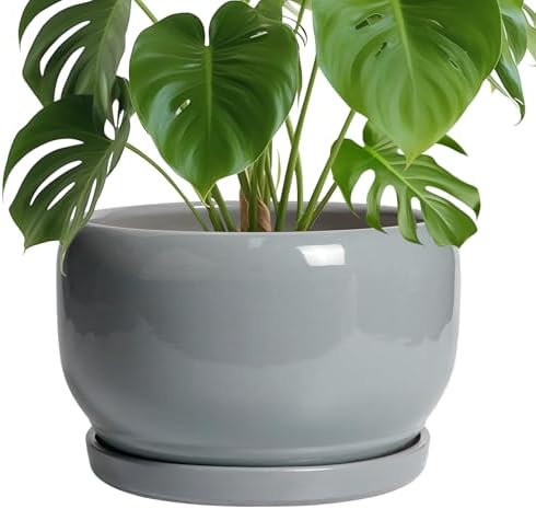 SQOWL 10 Inch Plant Pot - Ceramic Planter for Indoor Plants, Round Ceramic Flower Pot with Drainage Hole and Saucer, Modern Large Outdoor Planter, Room Decor, Housewarming Gifts, Gray by SQOWL
