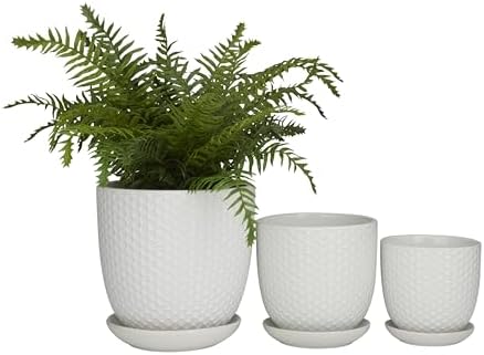 Deco 79 Porcelain Ceramic Geometric Indoor Outdoor Planter Small Planter Pot with Attached Saucer, Set of 3 Planters 8", 6", 5" H, White by Deco79