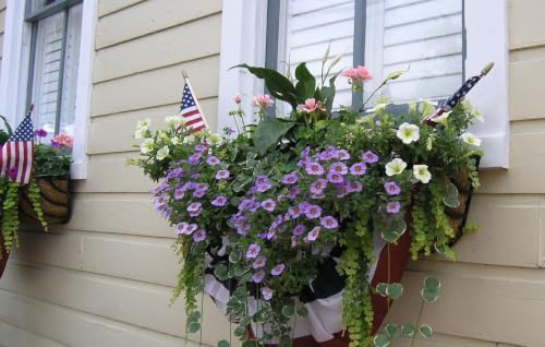 55in Steel Window Hayrack Planter PVC Coated Black 55in x 12in x 12in - Image 5