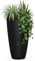 Mayne Modesto 42in Tall Round Modern Planter, Black by Mayne