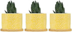 Yellow Leopard Print Planters Ceramic African Animal Stripe Round Plant Pots with Drainage Holes and Bamboo Tray Pot for Home Office Decoration by BRUYU5SE