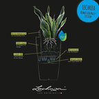Lechuza 13150 Cubico Color 40 Self-Watering Planter for Indoor and Outdoor Use, 16" x 16" x 30", White - Image 5