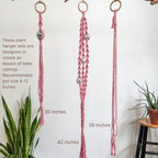 Set of 3 Macrame Plant Hanger | Disco ball decor Hanging planters for indoor plants Cool gifts for plant lovers Boho plant pots plant stand indoor Hanging planters for outdoor plants (Champagne Pink) - Image 6