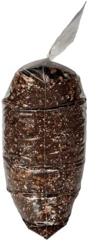 Peace Lily Imperial Houseplant Potting Soil Mix by rePotme - Junior Bag (4 Quarts) - Image 4