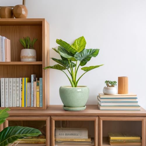 Ceramic Plant Pots 6 Inch, Ceramic Planter with Drainage, Green - Image 6
