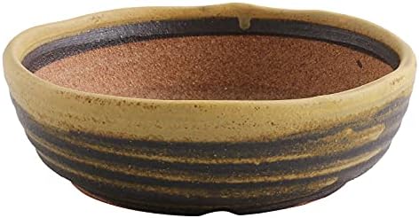 Wazakura Shigaraki Series Yellow Dust Stripe Glazed Ceramic Bonsai Pot by WazakuraJapan