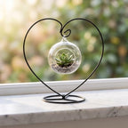 Zerodeko 5pcs Ornament Display Stand: Iron Hanging Rack Holder Heart Shape - Christmas Ornament Stand for Hanging Glass Globe Air Plant Terrarium Witch Ball Home Wedding Decor - Image 6