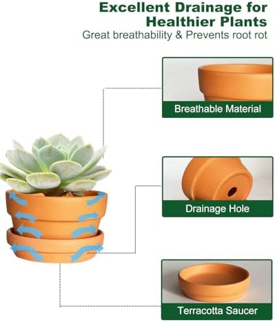 4.5 Inch Shallow Terracotta Plant Pots - 6 Pack Small Clay Flowerpot with Drainage Hole, Terra Cotta Succulent Pot for Indoor Outdoor Plants - Image 3
