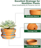 4.5 Inch Shallow Terracotta Plant Pots - 6 Pack Small Clay Flowerpot with Drainage Hole, Terra Cotta Succulent Pot for Indoor Outdoor Plants - Image 3