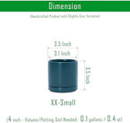 D'vine Dev 4-Pack Ceramic Pots with Saucers, Teal, 3.5 in, 94-X-A-9 - Image 2