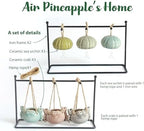 6 Ceramic Air Plant Holders & 2 Iron Racks, Hanging Tillandsia Pots - Image 6