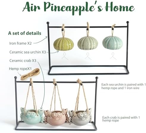 6 Ceramic Air Plant Holders & 2 Iron Racks, Hanging Tillandsia Pots - Image 6