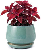 7.5 Inch Ceramic Planter with Saucer,Modern Garden Pots with Drainage Hole Mesh Net, for Indoor Outdoor Use (Blue-Green) by Unknown