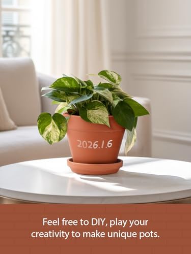 INGOFIN Terracotta Pots Set with Saucer - 2-Pack Ceramic Clay Planters with Drainage Hole, Garden Flower Succulent Pots with Tray for Indoor Outdoor Plants, 8 inch, Set of 2 - Image 6