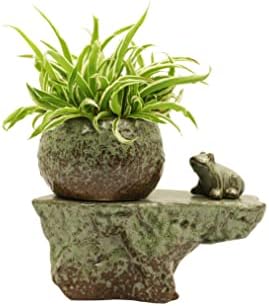 Cotta Planters Self Watering Ceramic Pot with Plant Buddy Frog Figernie in Two Tone Patina Glaze by CottaPlanters