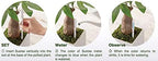 IPPINKA Sustee Aquameter, Bundle of 12, House Plant Soil Moisture Meter, Best for Indoor Potted Plants - Large Green Refillable - Image 5