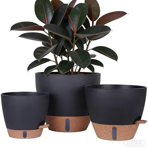 HEJIYUE Large Plant Pot, Self Watering Pots for Indoor Plants, 8/10/12 Inch Plastic Planters with Water Level Indicator, Drainage Holes & Deep Reservoir, Modern Decorative Flower Pot (Black) by THEJIYUE