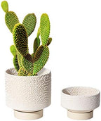 UBEE Planter Ceramic Flower Pot for Indoor Plants | 5.5 inch + 4.9 inch Plant Pots with Drainage Hole and Saucer for Aloe, Snake Plants, Pothos, Orchid, Beige with White Glaze Dot by Unknown