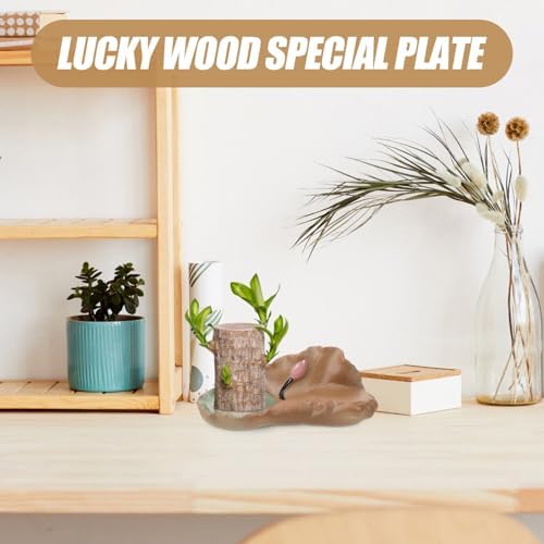 Milisten Lotus Leaf Ceramic Plant Saucer Tray 8 Inch Water Tray for Indoor Bonsai and Flower Pots with Drainage to Protect Floors and Surfaces - Image 5