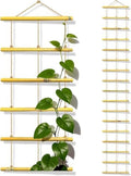 Natural Bamboo Ladder Plant Trellis 79 in L x 12 in D Ideal for Climbing Plants, Providing Reliable Support Suitable for Outdoor Walls, Gardens, patios, and Similar (2, S) by Unknown