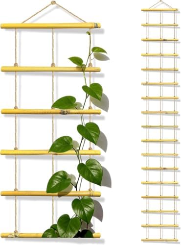 Natural Bamboo Ladder Plant Trellis 79 in L x 12 in D Ideal for Climbing Plants, Providing Reliable Support Suitable for Outdoor Walls, Gardens, patios, and Similar (2, S) by Unknown