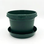 12-Piece Plant Pot & Saucer Set, Green - Image 6