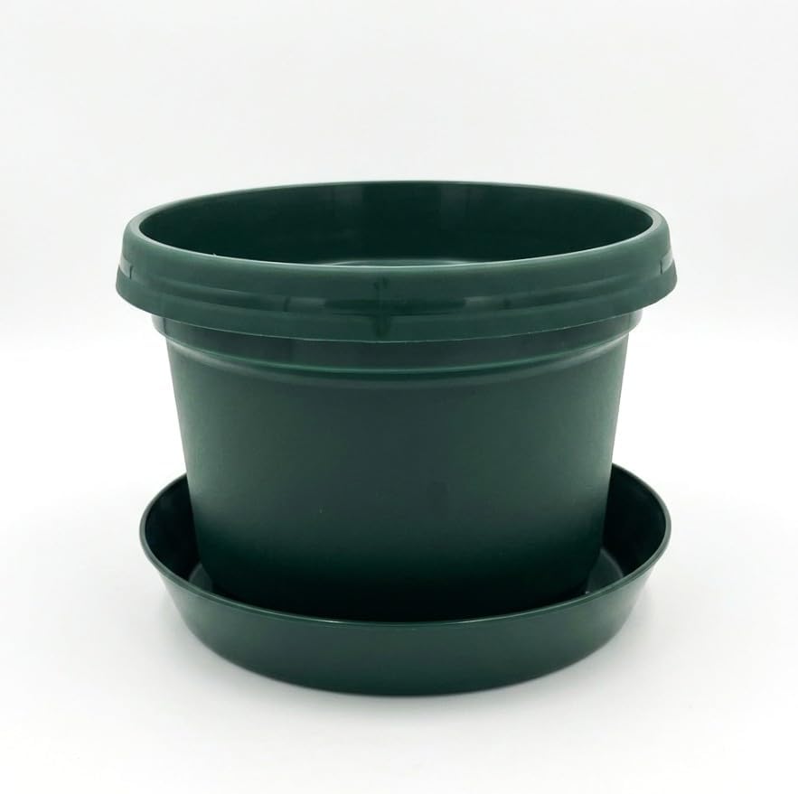 12-Piece Plant Pot & Saucer Set, Green - Image 6