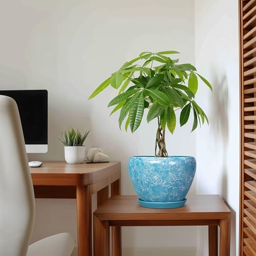 hirtypot 8 Inch Pots for Plants, Ceramic Planters Indoor, Bubble Blue - Image 5