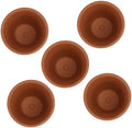 Toyvian Red Clay Planting Pots with Saucers for Indoor and Outdoor Succulents, 8x8cm Terracotta Pots Set of 5 with Drainage for Garden and Home Flower Decoration by Toyvian