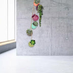 6 Pieces Pot Tied Rope Wall or Ceiling Mount Hanging Succulents Plant Flower Pot Multicolor Ceramic Indoor Decor Small Hanging Pots for Succulents Outdoor Indoor on Wall Ceramic - Image 4