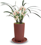 Dahlia 3.5" Zisha Tumbler Bonsai Planter/Succulent Pot/Flower Pot w. Saucer, Brown by Dahlia