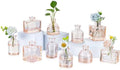 Glasseam Mini Bud Vases Set of 10 Champagne Glass Vases for Centerpieces by Glasseam