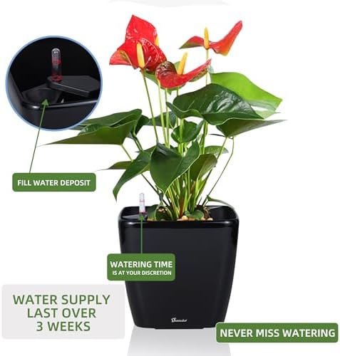 Dexceder 9x8 Self Watering Planter (Black High Gloss) - Image 5