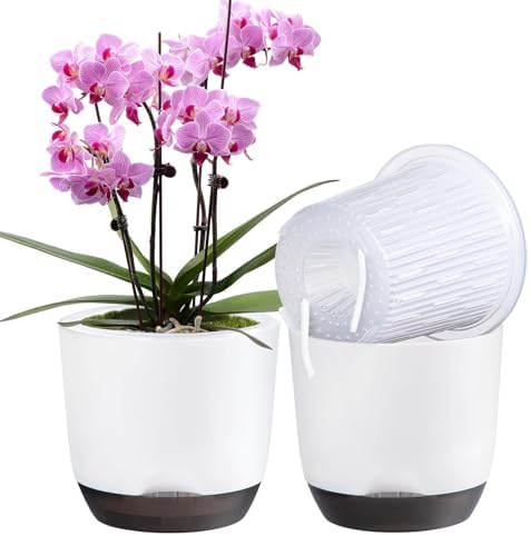 QCQHDU 2 Pack 7.2 Inch Orchid Pots with Holes for Repotting, Double-Layer and Self Watering Orchid Pot with Good Air Circulation by QCQHDU