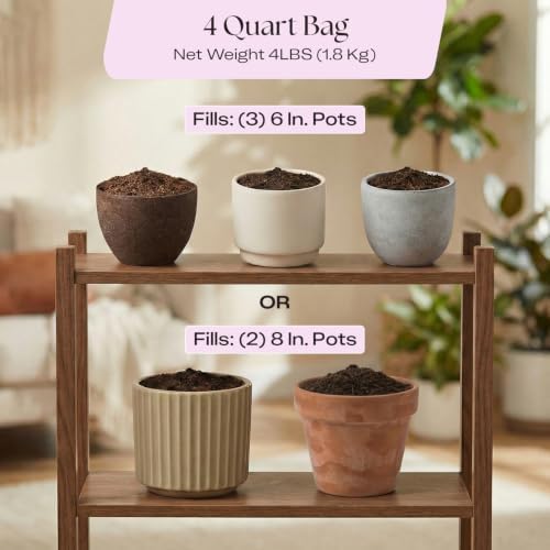 Rosy Soil Aroid Soil Mix, Chunky Biochar Potting Mix, 4 Quarts, Pack of 2 - Image 6