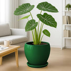 Deep Dream 10 Inch Plant Pot- Ceramic Planter Pot Round Plant Pots for Indoor Plants Outdoor Large Flower Pot with Drainage Holes & Trays, Green - Image 4
