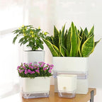 FAMZ Self Watering Pots for Indoor Plants 4 Pack White Self Watering Planters with Water Reservoir and Cotton Wick System, Bottom Watering Plant Pots for African Violet Herbs Small Indoor Plants - Image 2