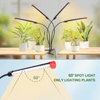 4‑Head Full Spectrum Clip‑On Grow Lights for Indoor Plants - Image 3